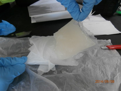Importing methamphetamine in frozen fish fillets, two men charged